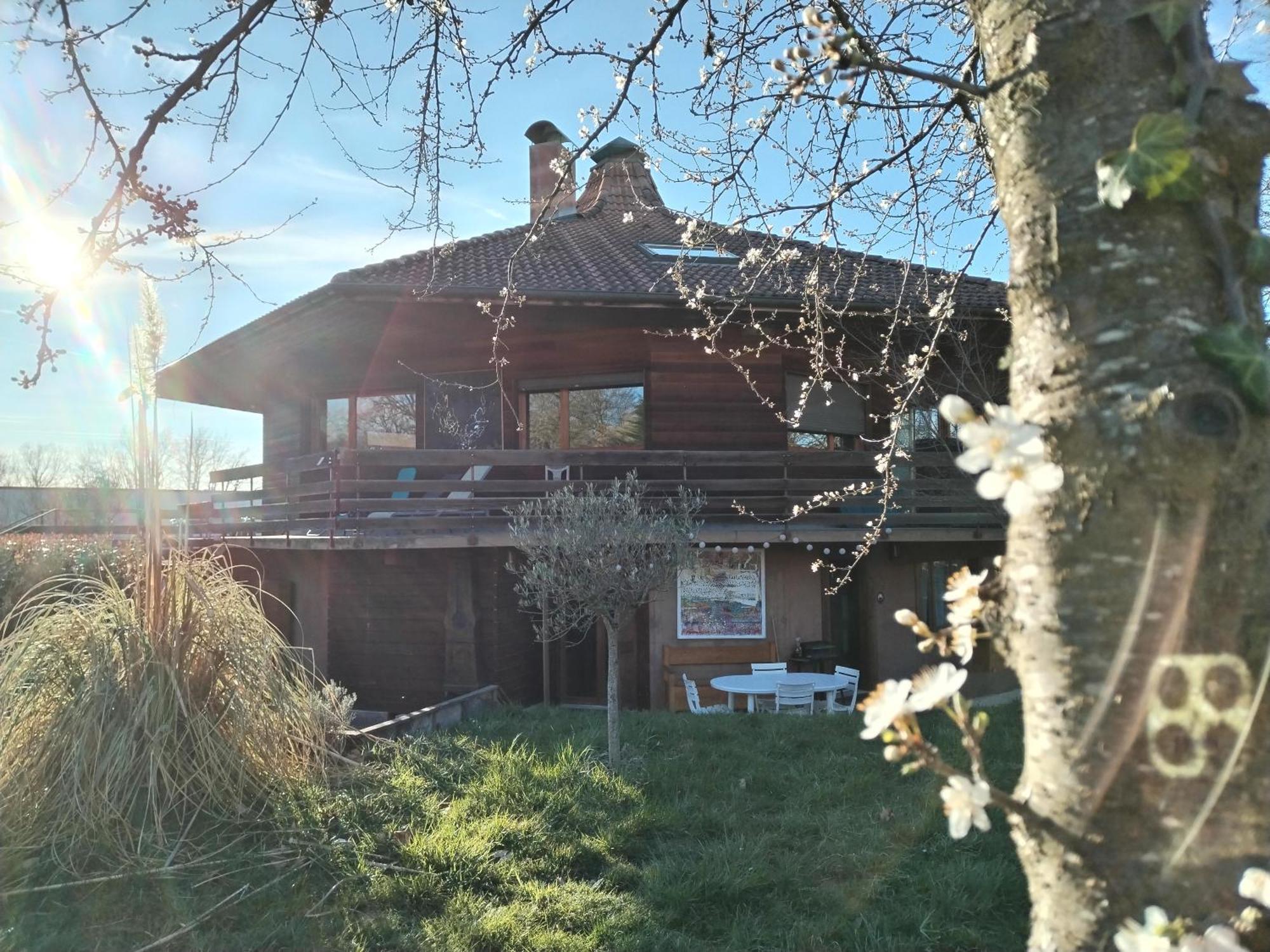 Alvéole du Léman - Appartement Le Nid du Chat Noir Sciez Exterior foto